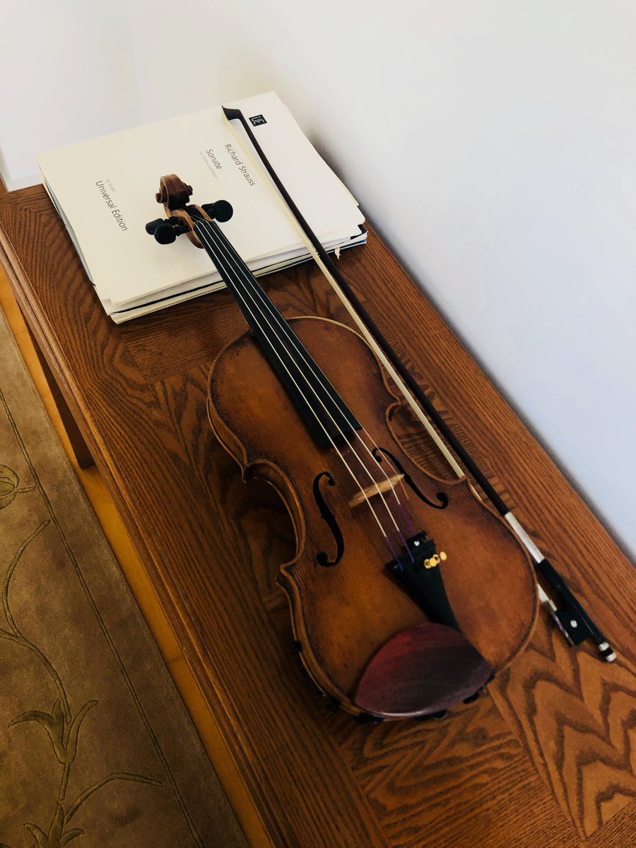 PalmArcade's tweet photo. Want to listen to the melodious melody of 
the 300-year-old violin "Guarneri"?
Three centuries of rhythm are engraved in NFT, 
what you hold is the eternity of sound!

THE ISLAND &amp; THE BELOVED ❤️  Music NFT, 
the sound of minting time.
 
#NFT #MusicNFT  #NFTProject  #NFTdrop https://t.co/GQRoj9pPRq