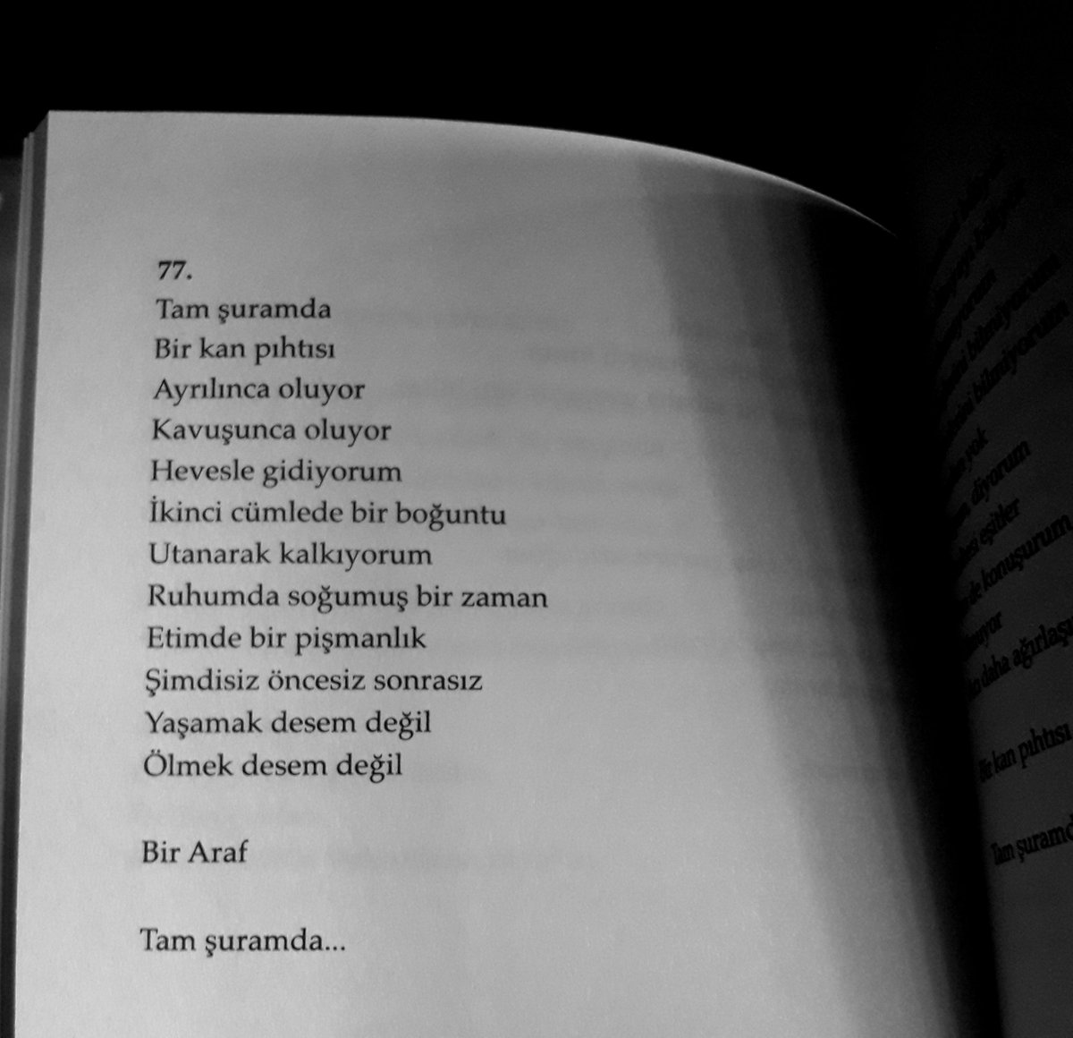 nelergorecegiz's tweet photo. "Bir Araf
 Tam şuramda..."

Şükrü Erbaş https://t.co/ADyQQYmfiS