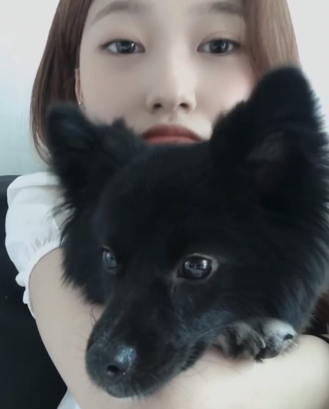 chaejicheji's tweet photo. lucky appreciation tweet https://t.co/ksWVa9qXGP