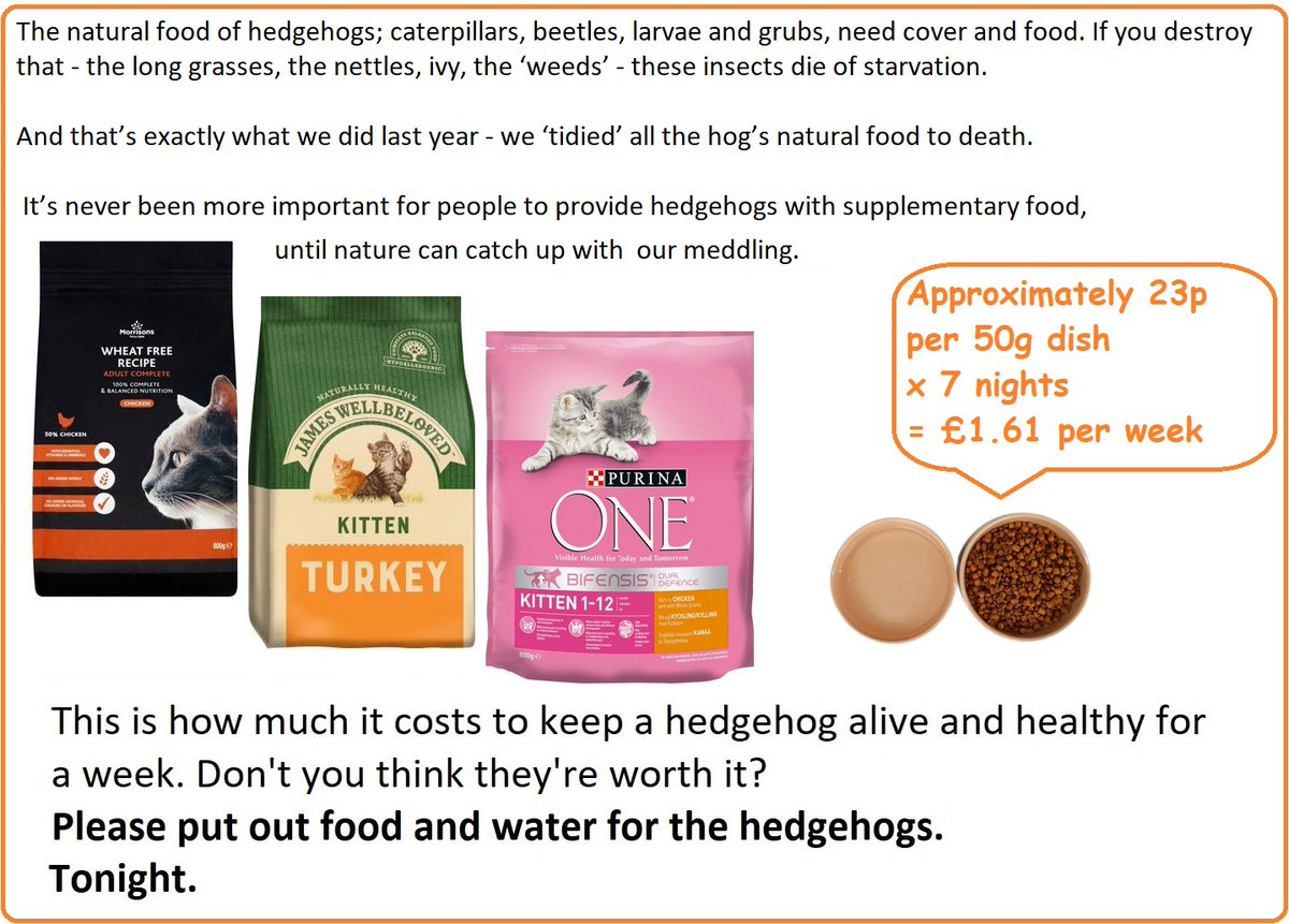 HedgehogCabin's tweet photo. Poor darling Dealy is now conscious, and you can see how absolutely emaciated he is. His skin drapes him like an old coat thrown over a wooden chair.
This poor boy wasn't lucky enough to find any kindness, no garden providing food. What he was forced to eat is now killing him. https://t.co/ALhdMNS0Y1