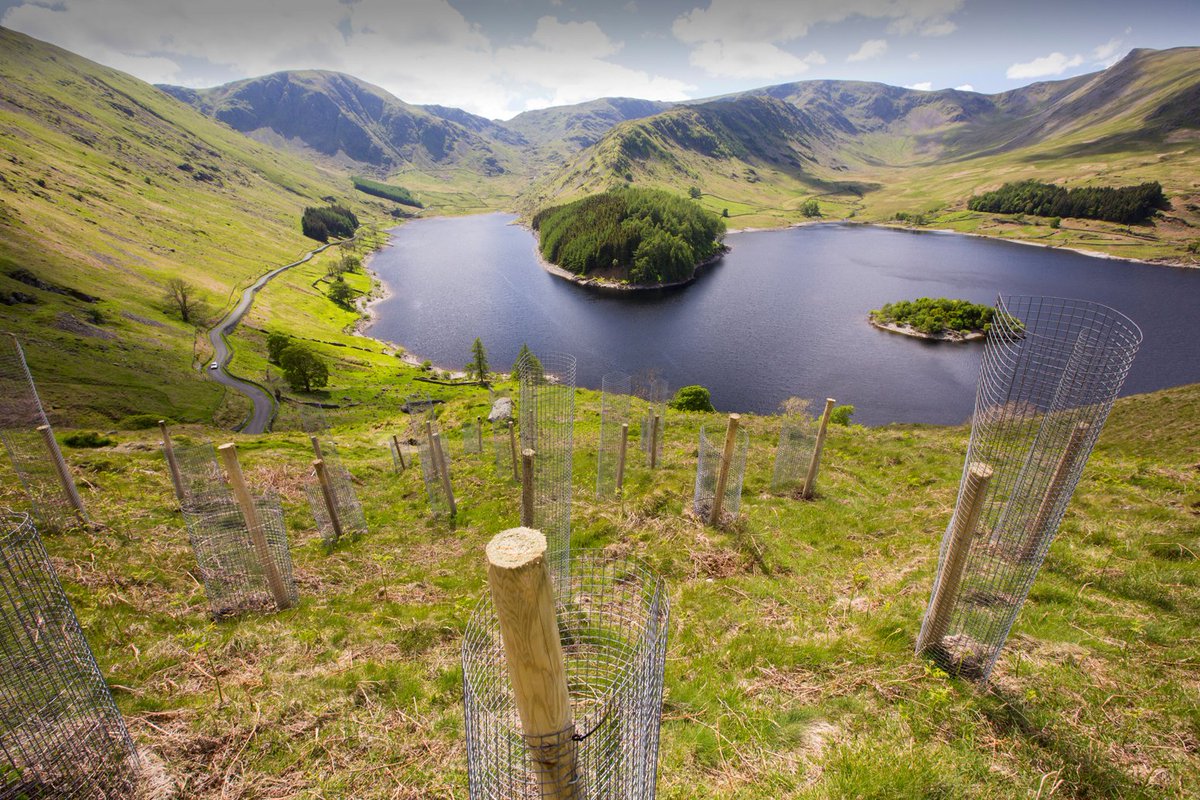 CarbonBrief's tweet photo. NEW – Greenhouse gas removal: How could it help the UK reach net-zero by 2050? | @daisydunnesci @Josh_Gabbatiss @DefraChiefScien @nemvaughan @Jen1Whitaker @richardabetts @hayneoak @patrizio_piera @jwilceclab @camjhep @mclaren_erc #UKGGREvent
Read: https://t.co/mAxZDcANPU https://t.co/MCkpvts4Eq
