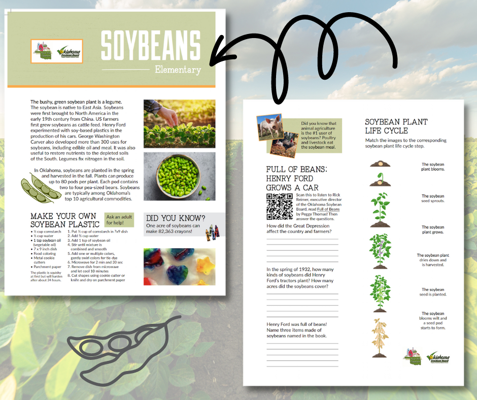 okagclassroom's tweet photo. Soybeans are plants in the 𝕃𝔼𝔾𝕌𝕄𝔼 family! Order a class set of 25 to teach your students about the importance of 𝕊𝕆𝕐𝔹𝔼𝔸ℕ𝕊! 

Oklahoma Soybean Board: 
https://t.co/cNoXVhImqE 

More resources https://t.co/WSlMcOfg8N 

Request link  https://t.co/HAroo7QlUq https://t.co/ZRV1EJi4Ax