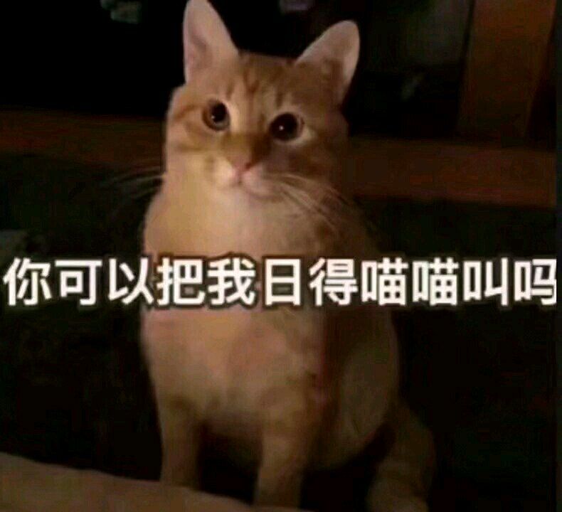 azubotan's tweet photo. @teapuppy2 https://t.co/hEiBcLSoKU