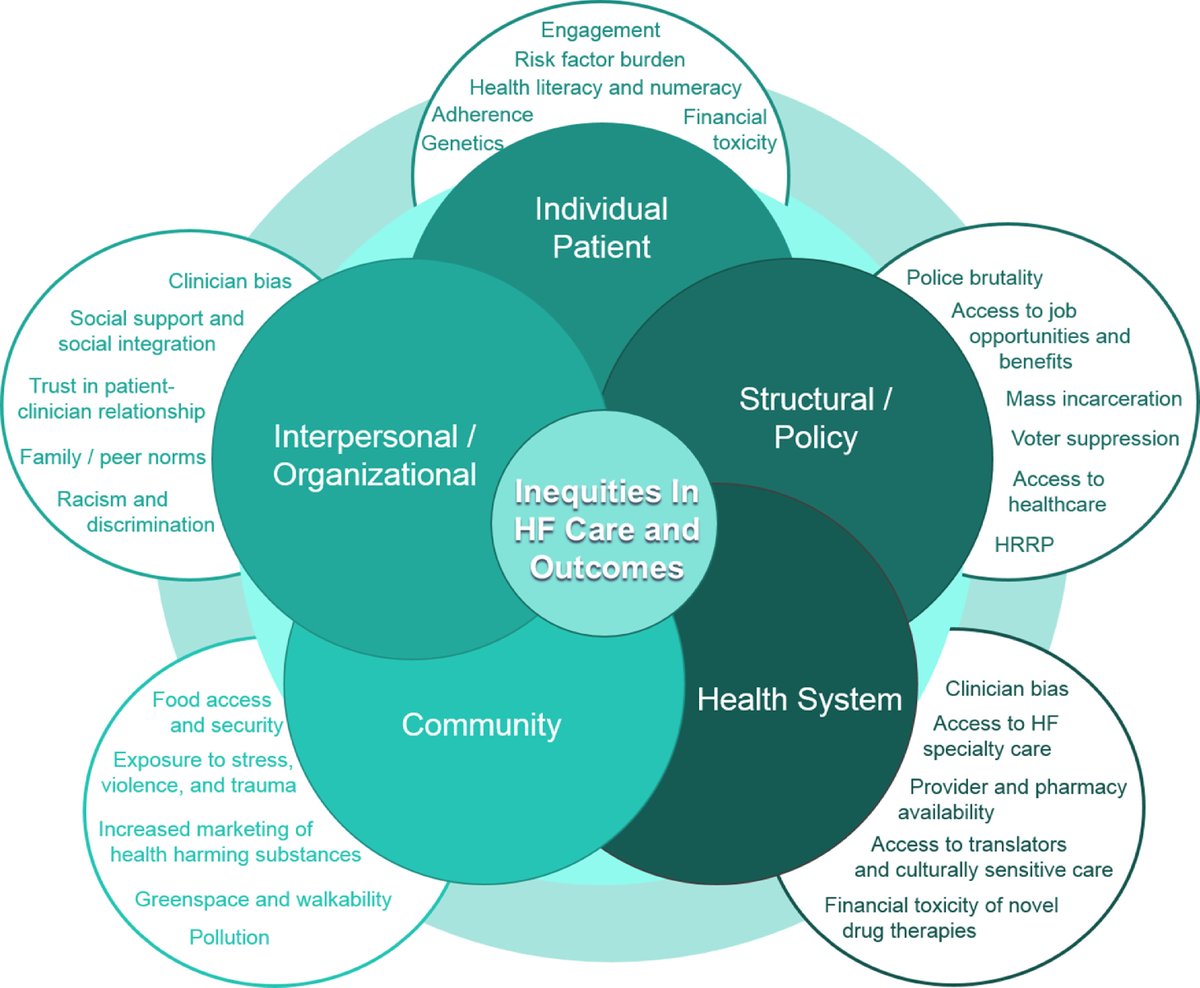 JCardFail's tweet photo. @HFSA Position Statement 

"The Impact of Healthcare Disparities on Patients with Heart Failure"

Summary of current data &amp; solutions to help reduce disparities in HF

@amorrismd @KevinShahMD @Dr_Eileen_Hsich @DrNasrien @NMHheartdoc 
@robmentz @dranulala 
https://t.co/c7NWdyFSww https://t.co/WKPnFrWBts