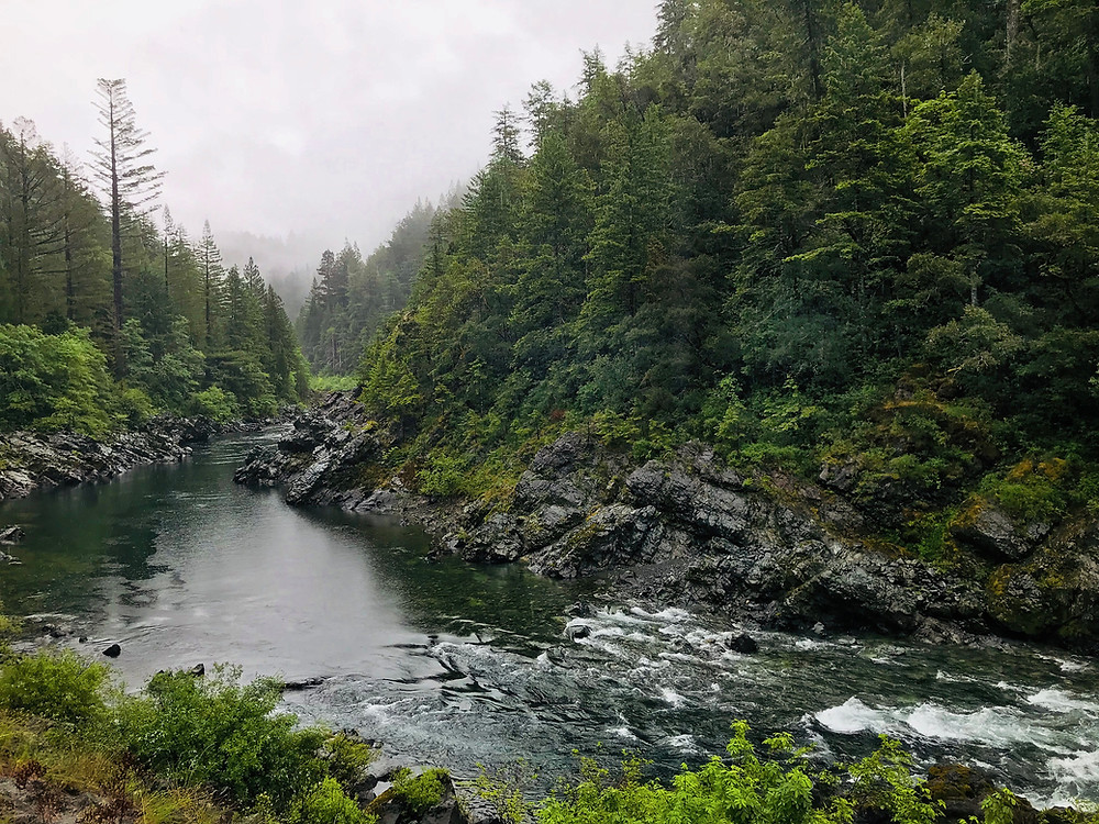 LWCF Coalition tweet media