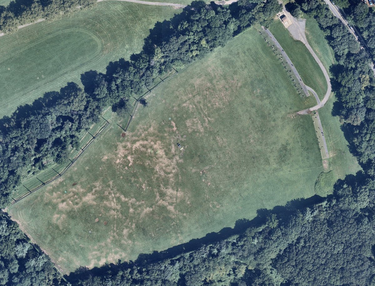 CourseVision tweet media