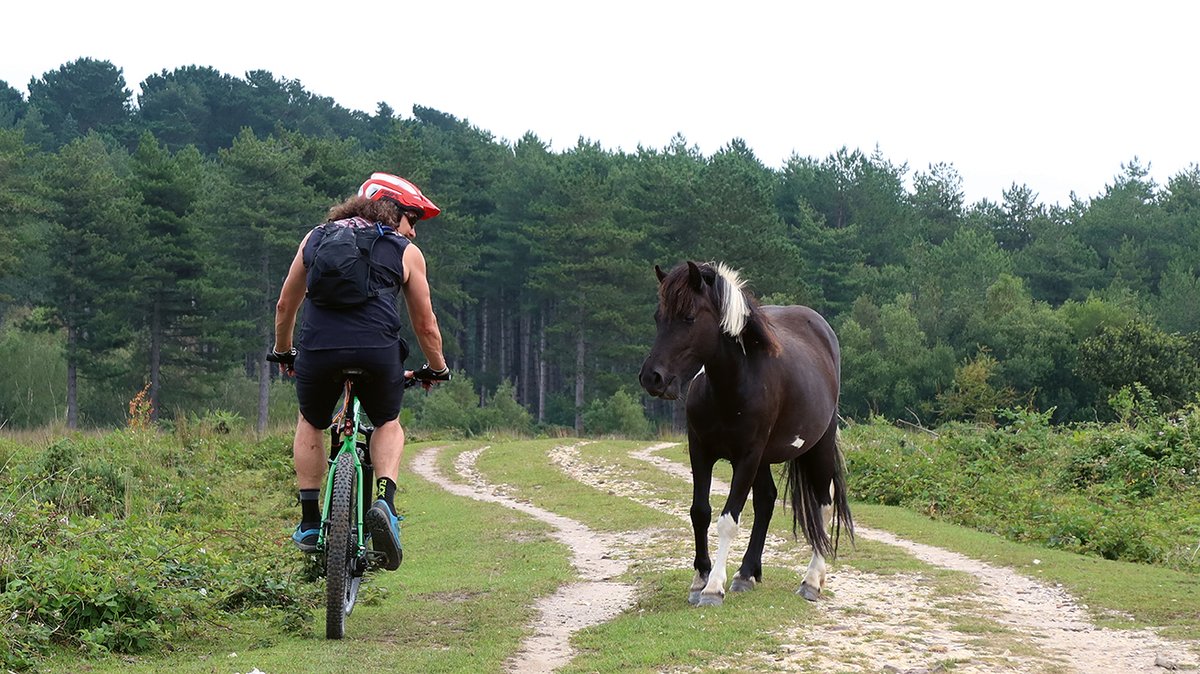 SchwalbeUK's tweet photo. More information and a full press release on our blog https://t.co/9dyuTubbBr and video trailer is available on YouTube https://t.co/iTcihrsqTy
@reizkultur @VertebratePub #inspiringadventure #giveaway #gravelbike #gravel #bikepacking #rideschwalbe https://t.co/ihNCeNwTu2