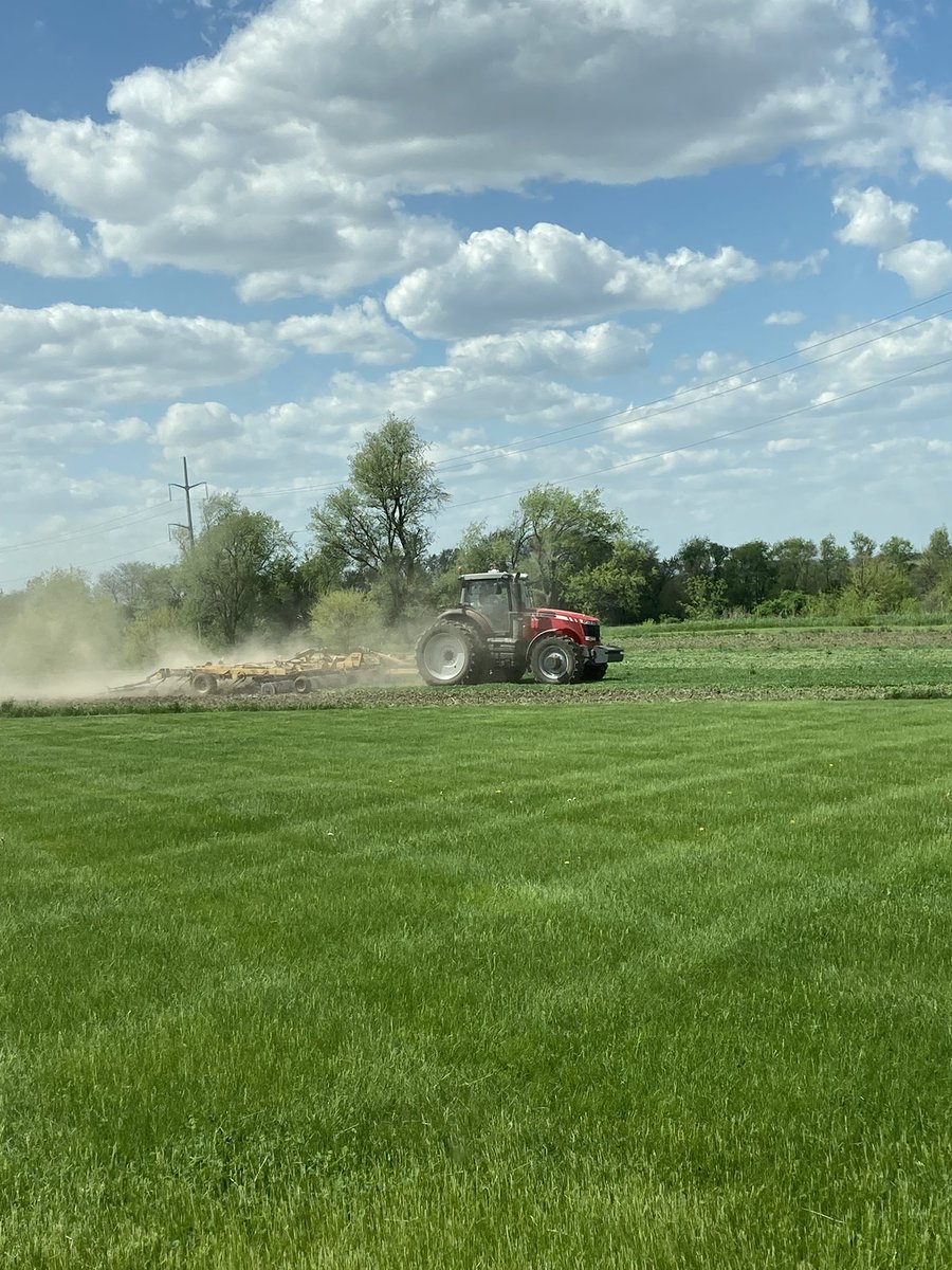 The sunflower seeds are in the ground! Looking forward to a beautiful field!