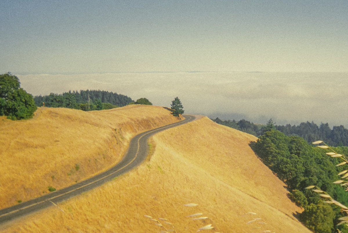 photos taken on a kodak disposable