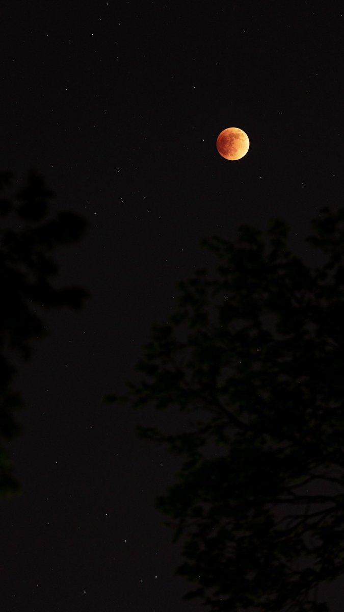 Also took photos of the moon like everyone else did 🌑