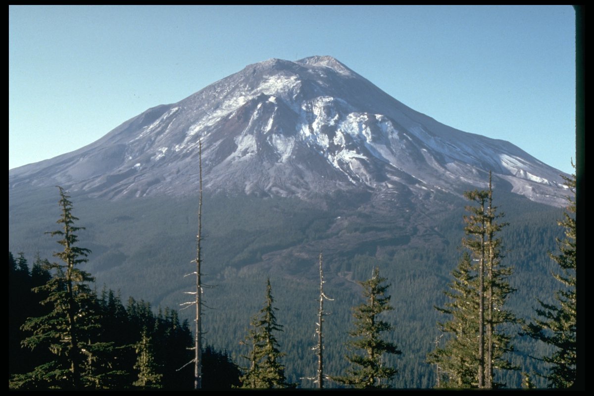 Washington State Dept. of Natural Resources tweet media