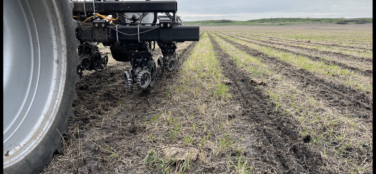 JoeBreker's tweet photo. I wouldn’t normally be using the residue managers but there are quite a few prairie muffins that need a kick out of the way. #soilheath #biostriptill #pairrow60”corn https://t.co/31TXCSkmHp