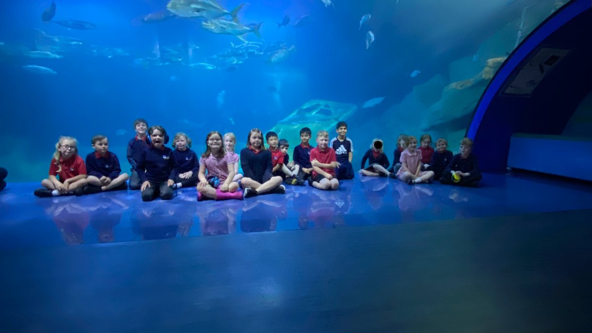 BhaYear2's tweet photo. Seahorses and Turtles class had the most #remarkable trip to @NMAPlymouth today. We got to see lots of amazing sea creatures as well as conducting some exciting experiments. @AETAcademies @BHA_TQ https://t.co/TlqNqcMbSA