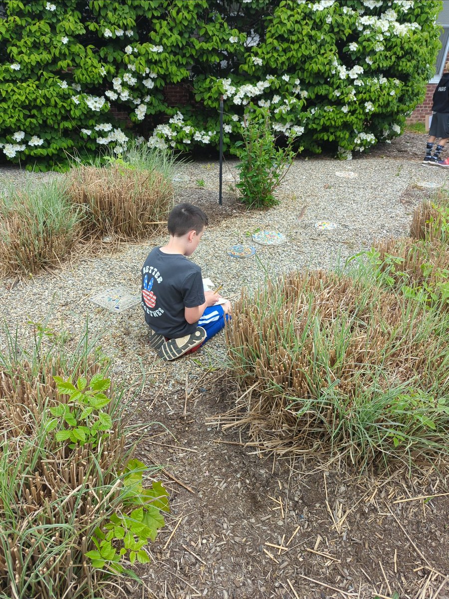 MrsFattorusso's tweet photo. After a morning of testing, outdoor writing in our beautiful Peace Plaza was very much needed! @LVLionsDen https://t.co/PCT7g2WP2K