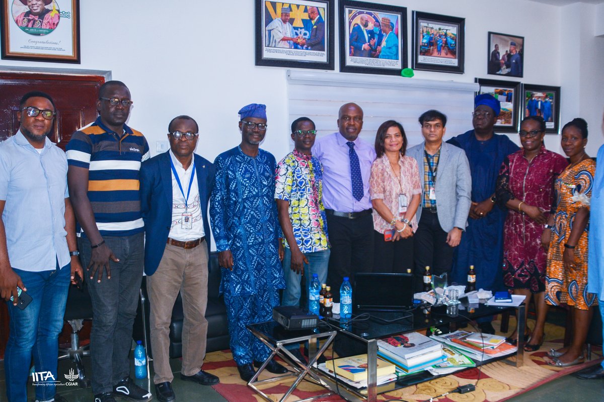 IITA tweet media