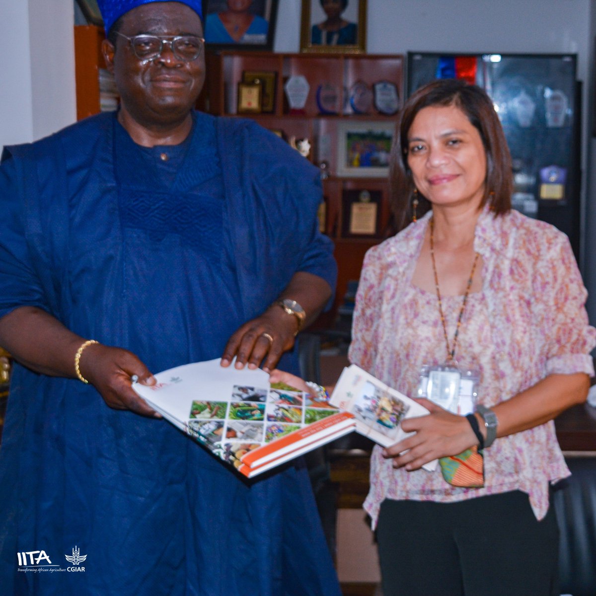 IITA tweet media