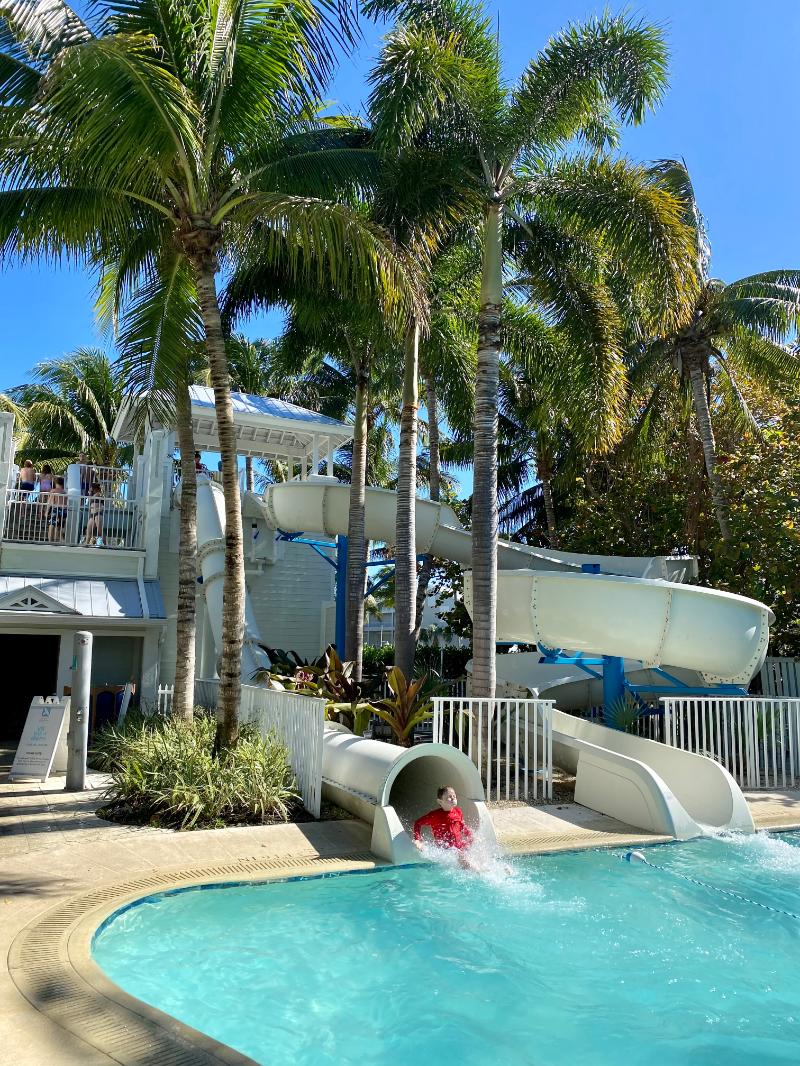 I'm a finalist in the South Seas Island Resort's Photo Contest! Help me rally votes: flip.to/r/fdfsn @SSIslandResort
