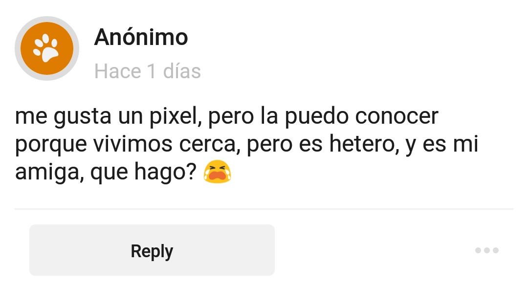 ccvenusitos ɞﾟ₊ tweet media