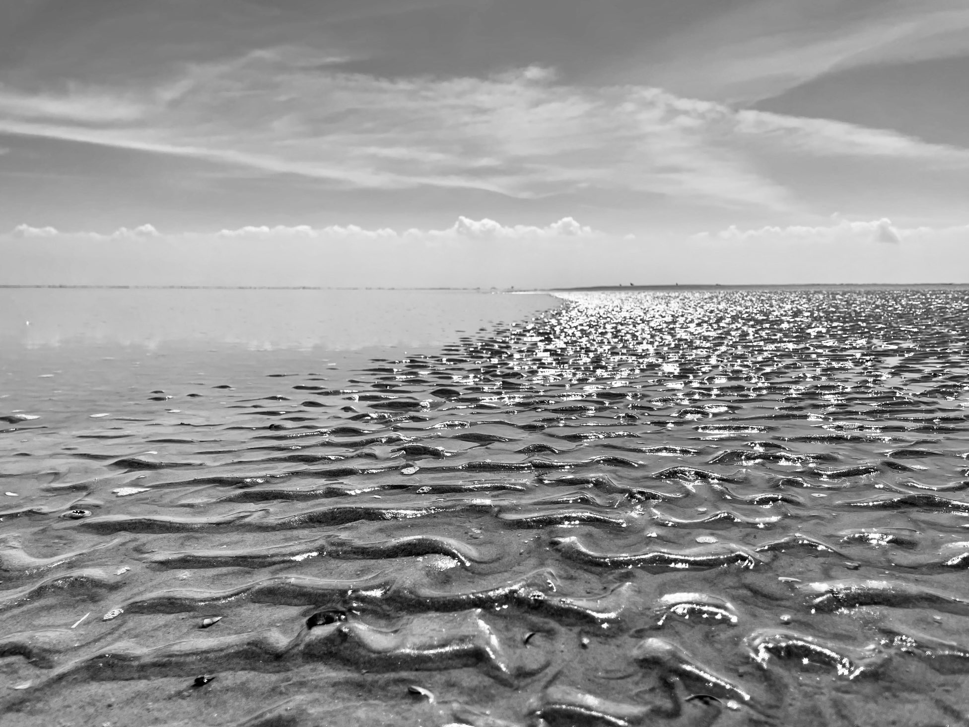 Chris.Talsma on Twitter "Eilanderbalg Schiermonnikoog https//t.co