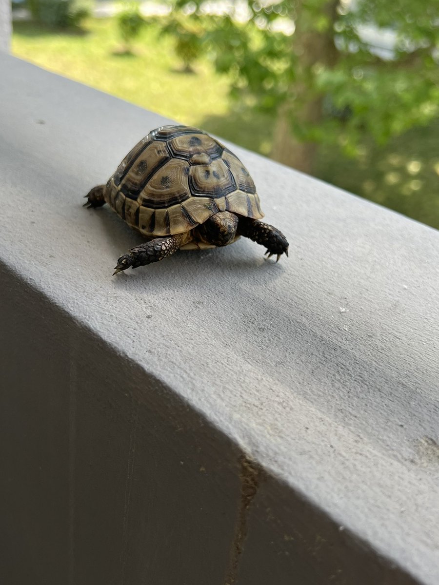 bibi 🇩🇿🇵🇸 tweet media