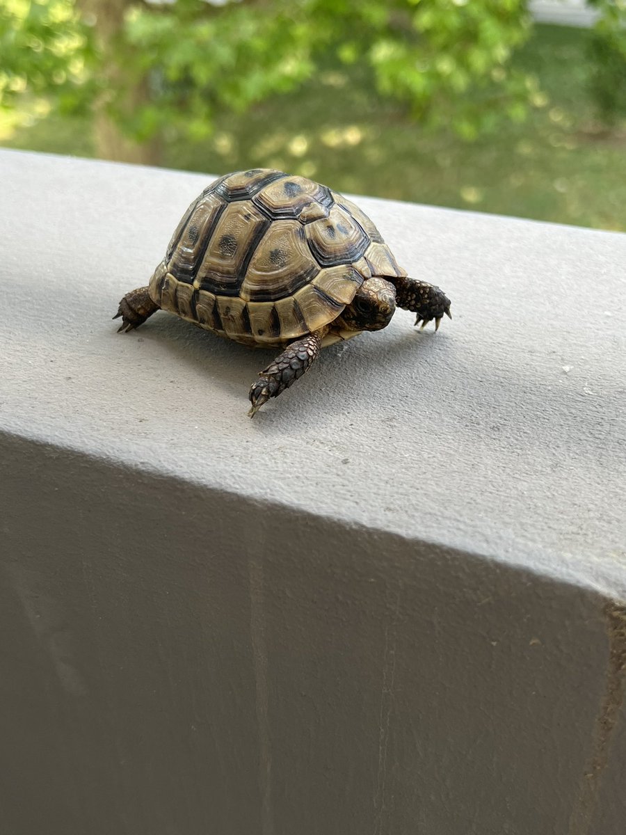 bibi 🇩🇿🇵🇸 tweet media