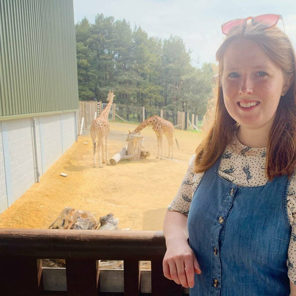 Gisforgingers's tweet photo. The walk to the top of @edinburghzoo to see the giraffes was worth it - in fact we did it twice! 🥰 🦒 #EdinburghZoo #Giraffes #GiraffesOfInstagram #NubianGiraffes #ginger #redhead #reallifeandstyle #chattycaptioncommunity #busybarelyadulting #thecove… https://t.co/cwgYlhfnTs https://t.co/QGjGhw0rIU