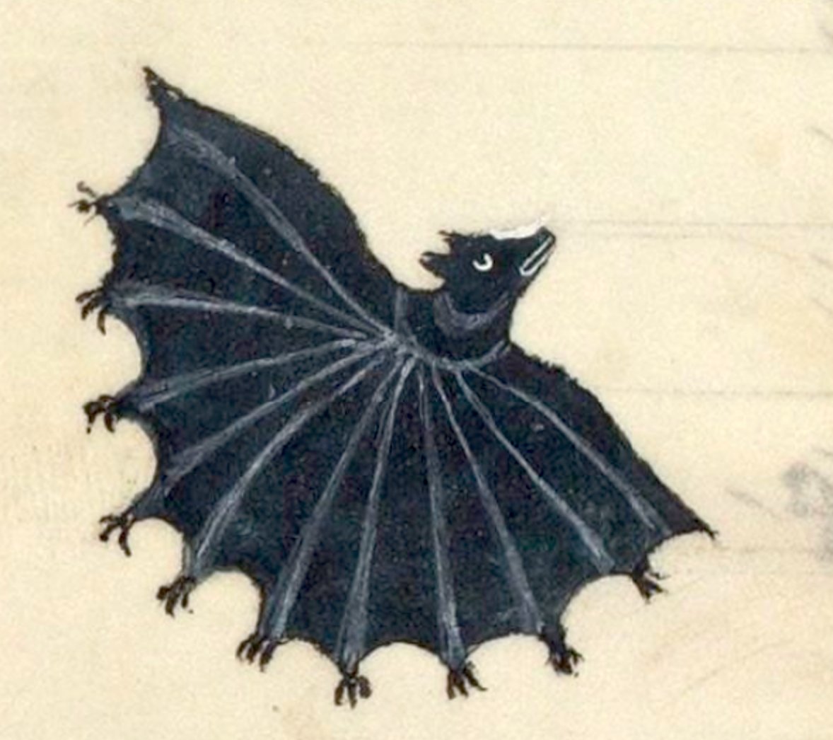 bat, france, 14th century