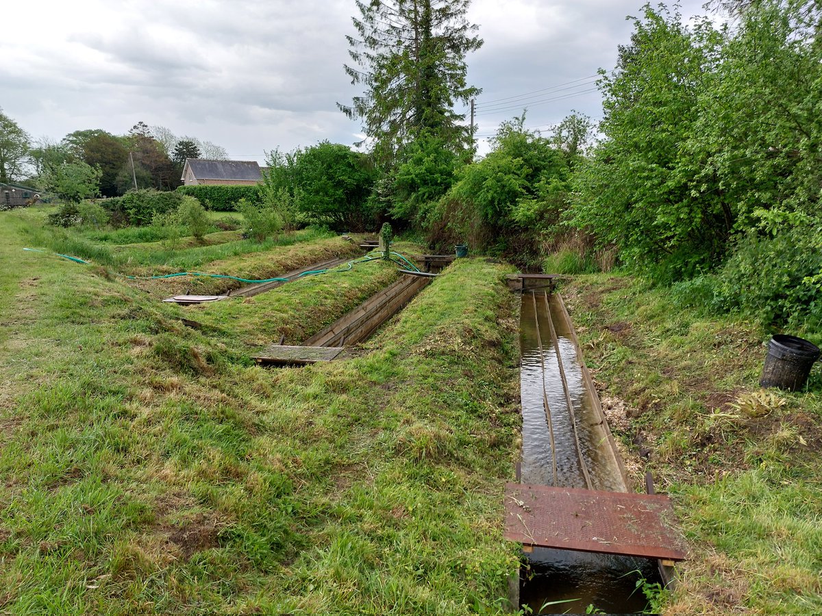 mathers_kate's tweet photo. Back for phase 2 of flume restoration this week and the channels are beginning to take shape! Debrambling, desilting and veg clearing ✅️  Field team is on 🔥 @MorwennaMck @crayfish_harry @Mhill846 #UKRIFLF https://t.co/s9ZckSmUmY
