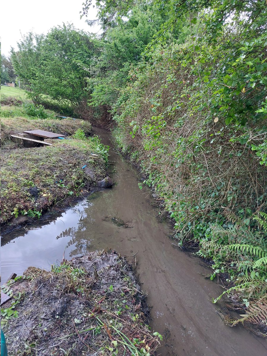 mathers_kate's tweet photo. Back for phase 2 of flume restoration this week and the channels are beginning to take shape! Debrambling, desilting and veg clearing ✅️  Field team is on 🔥 @MorwennaMck @crayfish_harry @Mhill846 #UKRIFLF https://t.co/s9ZckSmUmY