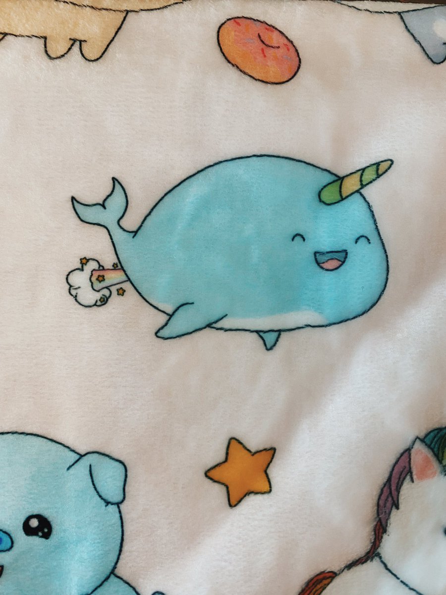 Kusteppbsq's tweet photo. A chubbifrens narwhal that farts rainbows printed on a baby blanket. Web3 products are cool af! 🔥 💯 https://t.co/IWOcQI1q48