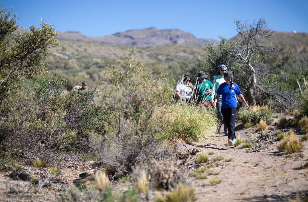 MalargueTurismo's tweet photo. En el Sitio Arqueológico de Grabados Rupestres Agua Botada, a través de sus #senderos, podes descubrir #grabadosrupestres de #PueblosOriginarios, una experiencia única para descubrir nuestro pasado a través de la historia y la cultura.
⬇️ (hilo)
#Malargüe #Mendoza https://t.co/ElAXmOzszX