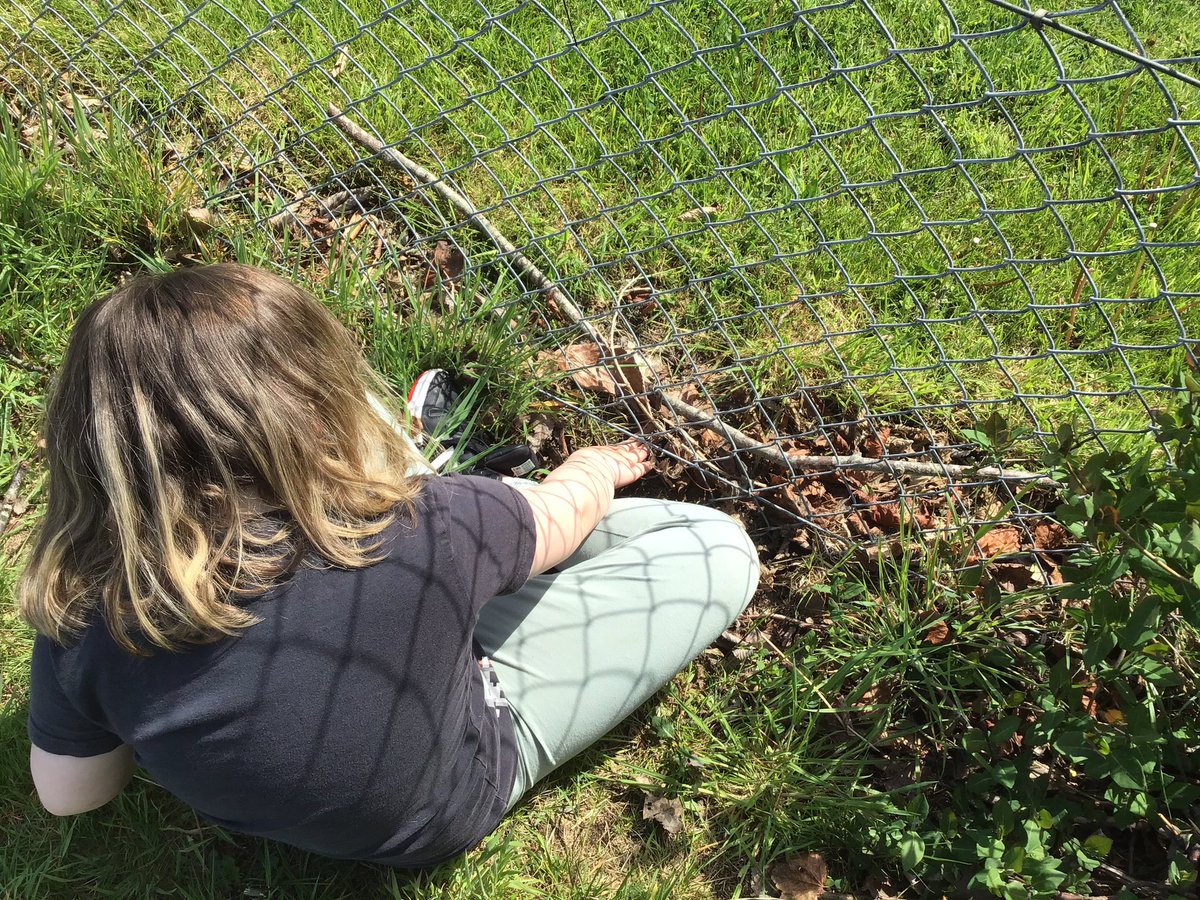 MissSteel7's tweet photo. Lots of fun, learning and positive communication outside today! We had kites, tyre swings, exploring and tree climbing. @FernieleaSchool @MrsBoydFern #happysafeachieving #learningthroughplay #outdoorlearning https://t.co/1fplS9SrCV