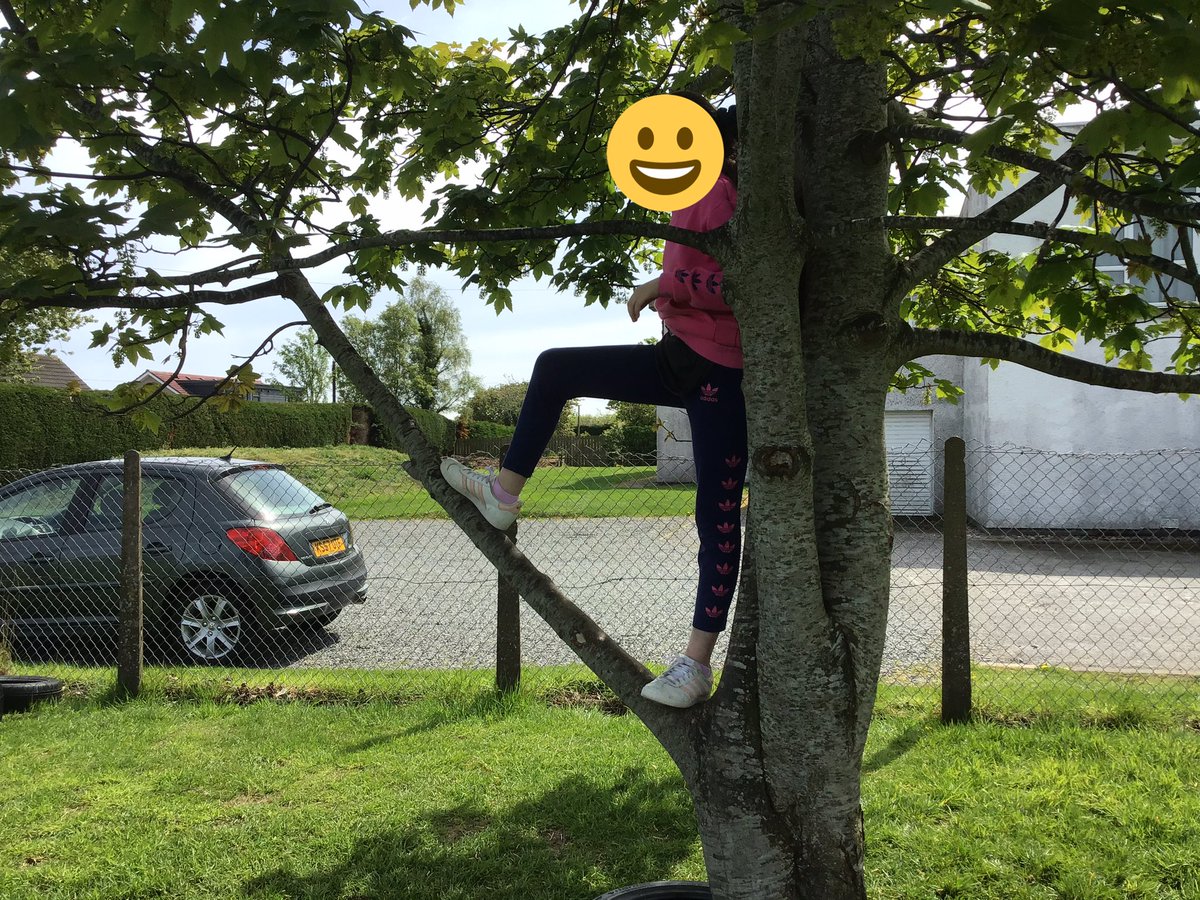 MissSteel7's tweet photo. Lots of fun, learning and positive communication outside today! We had kites, tyre swings, exploring and tree climbing. @FernieleaSchool @MrsBoydFern #happysafeachieving #learningthroughplay #outdoorlearning https://t.co/1fplS9SrCV