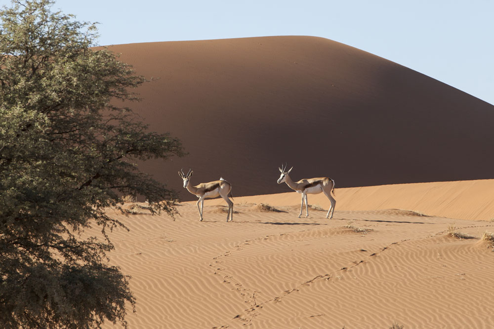 Namibia Tourism offers three top suggestions for itineraries, although there are plenty more options! All itineraries have alternative distances and trip lengths, details of which can be found on our website: namibiatourism.com.na 
#NTB