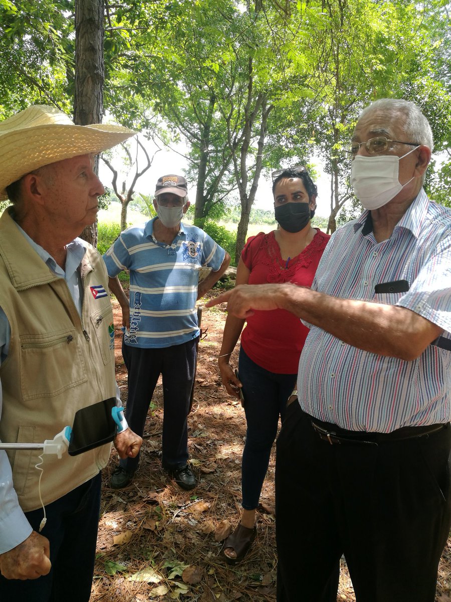 dgniurka's tweet photo. Dr. Eduardo Torres-Cuevas recorre el bosque martiano del Ariguanabo junto a Felo, creador de este proyecto ecológico que guarda especies de árboles y arbustos mencionados por José Martí en su Diario de Campaña. @scjosemarti @opmCuba @RPolancoF @YusuamOrtega @AbelPrieto11 https://t.co/Qv0NyMATYA