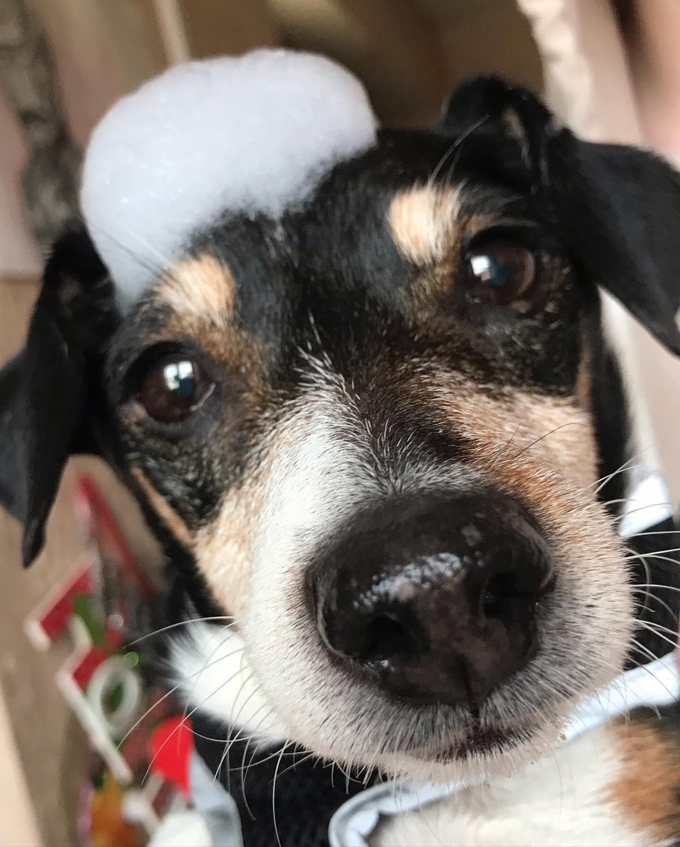 LostsWorld tweet media