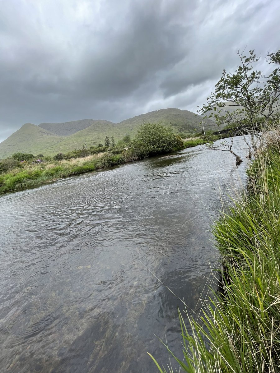 JennyferDods's tweet photo. We had a fantastic morning in the #delphivalley, County Mayo, learning about and using @WAN_LIFEIP’s habitat-based integrated score cards for #paymentbyresults @contracts2_0 https://t.co/lH8QkHpM1l