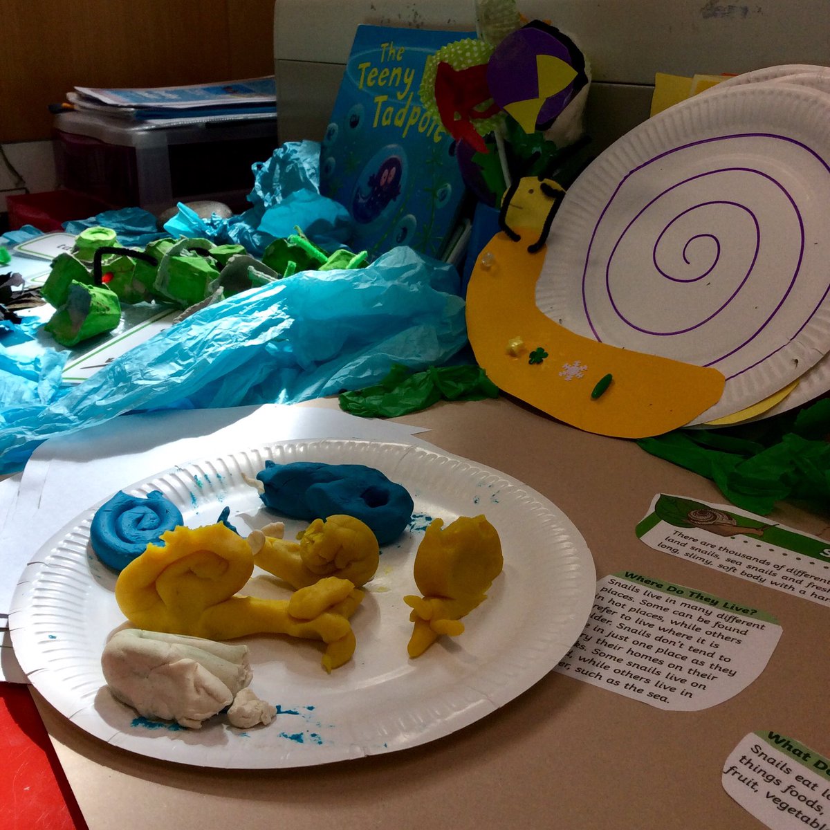 elton_school's tweet photo. #Snails 🐌 - KS1 love them! They’ve been taking a really close l👀k at them, made models of them........
#learningaboutnature #science #art #derbyshiredales #peakdistrict https://t.co/sG1kC7CU1y