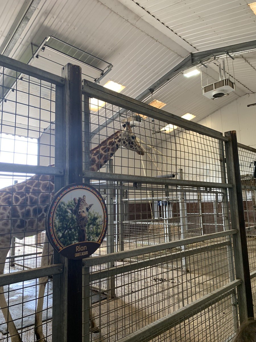Penclawdd's tweet photo. #Penc2 Wow! What a fantabulous trip! Awe, wonder and a whole lot of fun! Diolch @FollyFarmWales I know our staff and children cannot wait to come back again! Mrs D needs to feed the penguins! 🐧 #Pencwellbeing #Penccomm https://t.co/QlMDF4VTOd