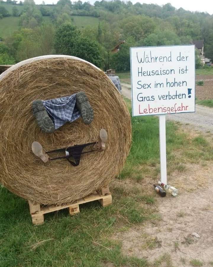 Muschelschloss's tweet photo. Merke... https://t.co/HO20fuSKOT