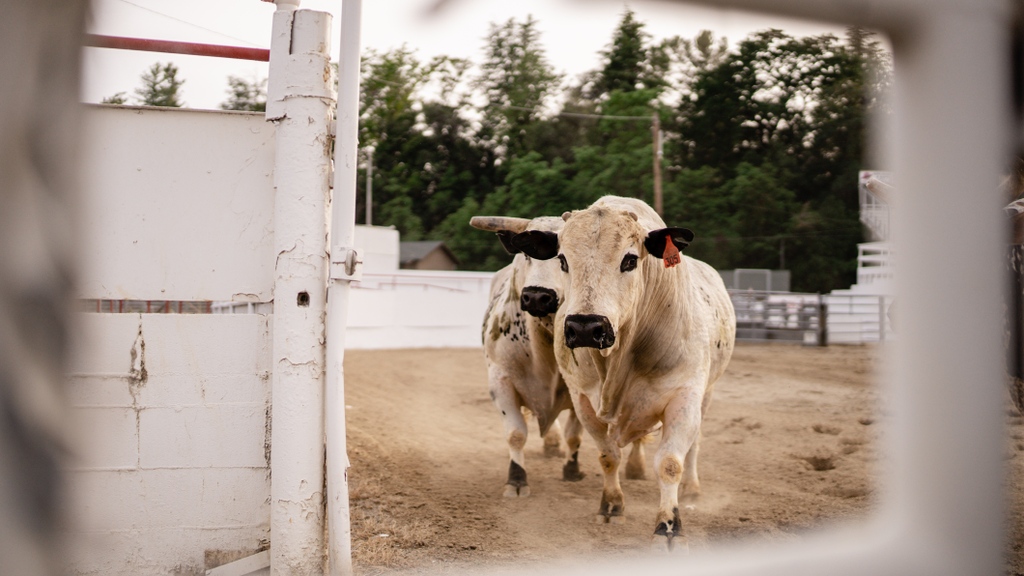 VisitReddingCA's tweet photo. What a great week to be in Redding!
๐: @redding_rodeo
#ReddingRodeo #Rodeo #NorthenCalifornia #ReddingSetGo https://t.co/sNQGC5XEJ4