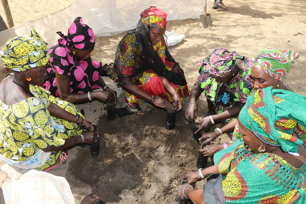 FAOSenegal's tweet photo. #SAGAsn - Grace aux fonds @MRIF_Quebec, @FAO applique une approche multi-acteurs, multi-secteurs &amp; multi-échelles de l’adaptation aux #ChangementsClimatiques au🇸🇳.

📺Reportage sur @ouesttv TNT canal 203
Mercredi 18 mai, 19H04
Vendredi 20, 20H04
Dimanche 22, 12H15
Mardi 24, 18H04 https://t.co/g3KZTYwJ1j