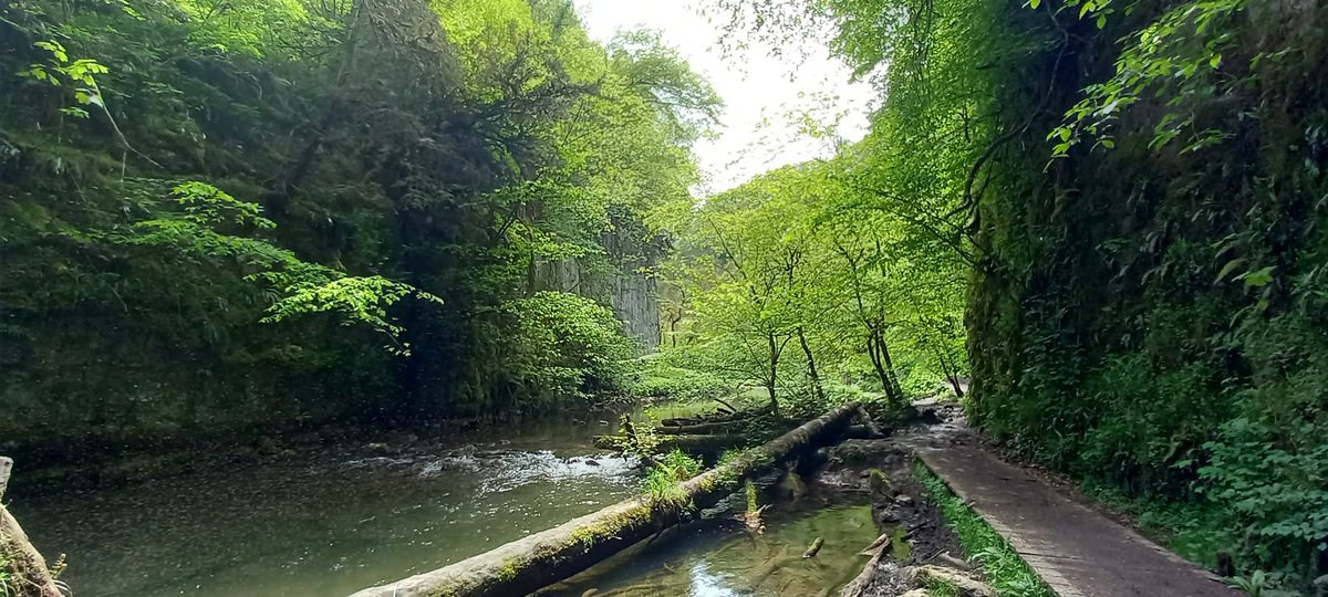 Steve72Outdoors's tweet photo. Lovely day trip to #Millersdale #Cheedale #MonsalTrail #WhitePeak #Sitclub #RiverWye https://t.co/ANxJrD9bUw