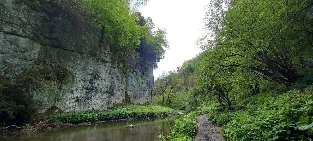 Steve72Outdoors's tweet photo. #TheRiverWye #TheMonsalTrail #CheeDale #MillersDale #getoutthere #getoutside #TheWhitePeak https://t.co/mIJRbdGBbb