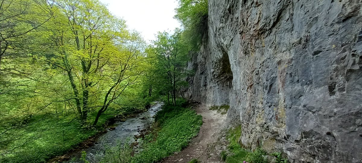 Steve72Outdoors's tweet photo. #TheRiverWye #TheMonsalTrail #CheeDale #MillersDale #getoutthere #getoutside #TheWhitePeak https://t.co/mIJRbdGBbb