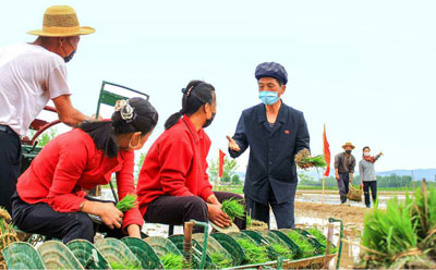 Let's focus our energy and release the rice planting at the optimal time

We are calling on the farmers to do quality rice planting.

-At Songo Cooperative Farm in Sincheon-gun-