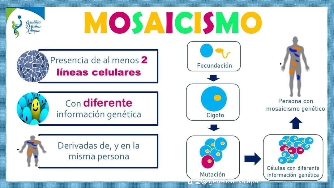XalapaMedica's tweet photo. Mosaicismo genético, ¿qué es y cómo se origina? @RareDisMx
#Genética #Medicina #MedTwitter #ENARM #ENARM2022 #Mosaico https://t.co/7pqmwuLXik