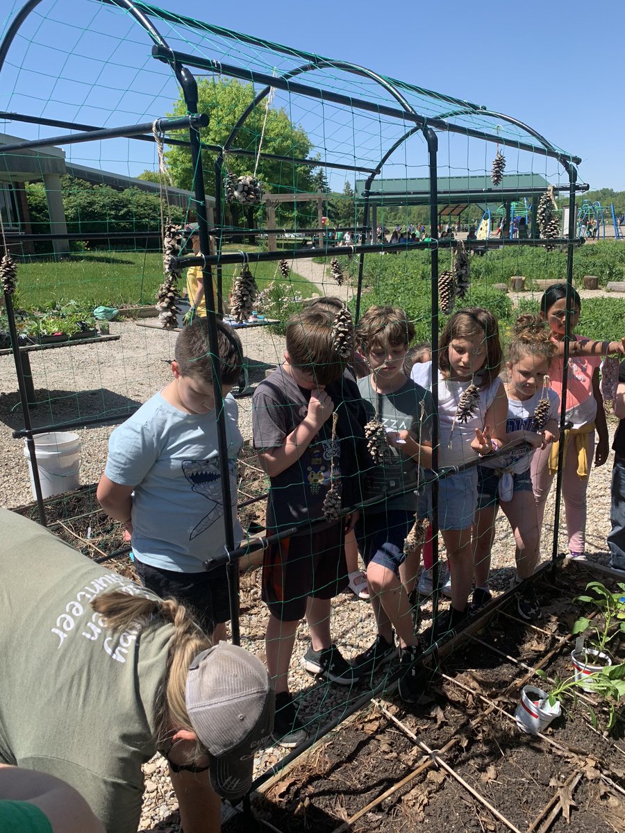 GranbyThird's tweet photo. Planting Day! @GranbyGators https://t.co/GxAOAHbdnS
