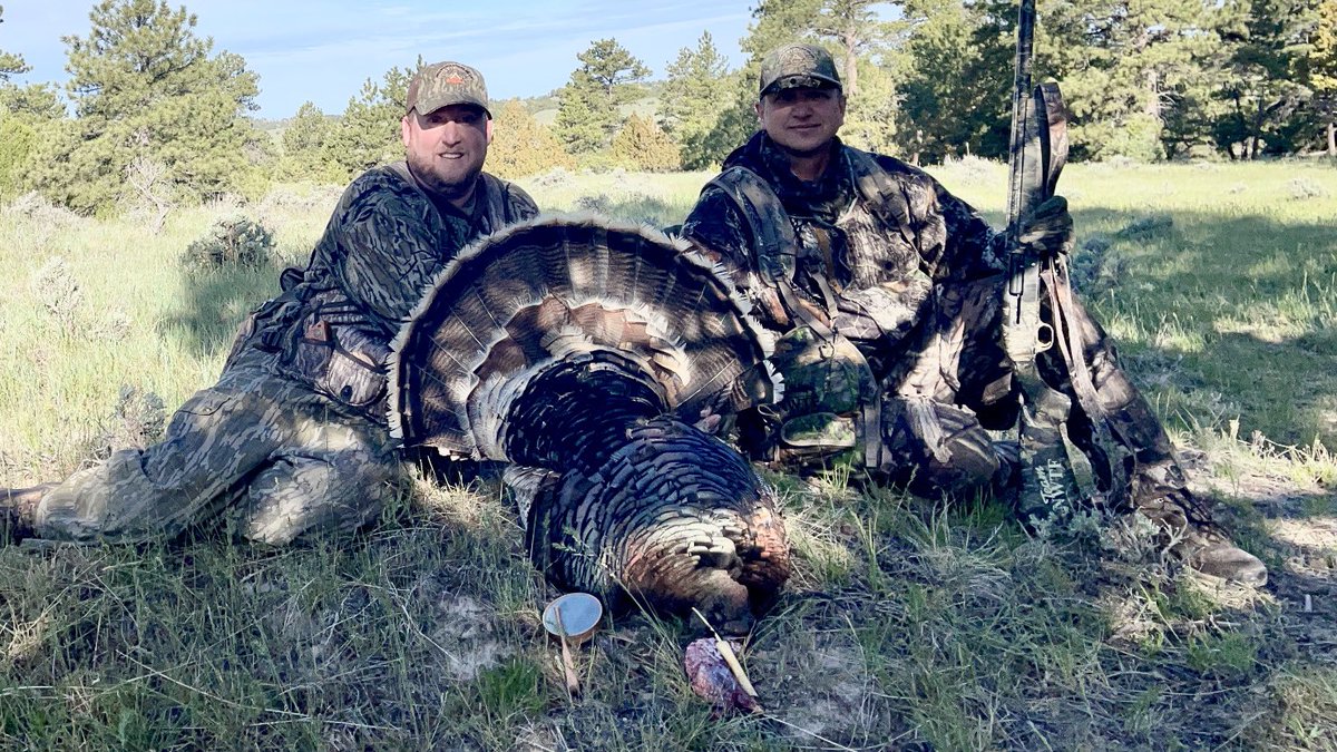 teamwingbone's tweet photo. Lil Rowdy called this Wyoming Cowboy from 853 yards to the end of Lil Turkey Hunter’s gun this morning!! #gobbler #merriamturkey #turkeyhunting #wingbone #slatecall https://t.co/wJhjnXP3CF