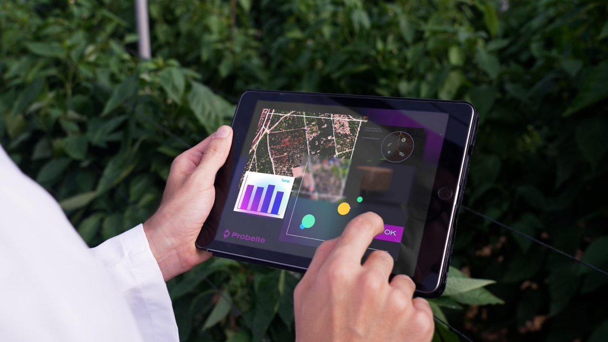 ¿Sabías que el 82% de empresas españolas han aumentado ingresos gracias a la digitalización? 📈

En Probelte apostamos por la innovación a través de una plataforma para ayudar a digitalizar el sector agrícola. 🖥

#Probelte #agricultura #innovación #biotecnologia #digitalizacion